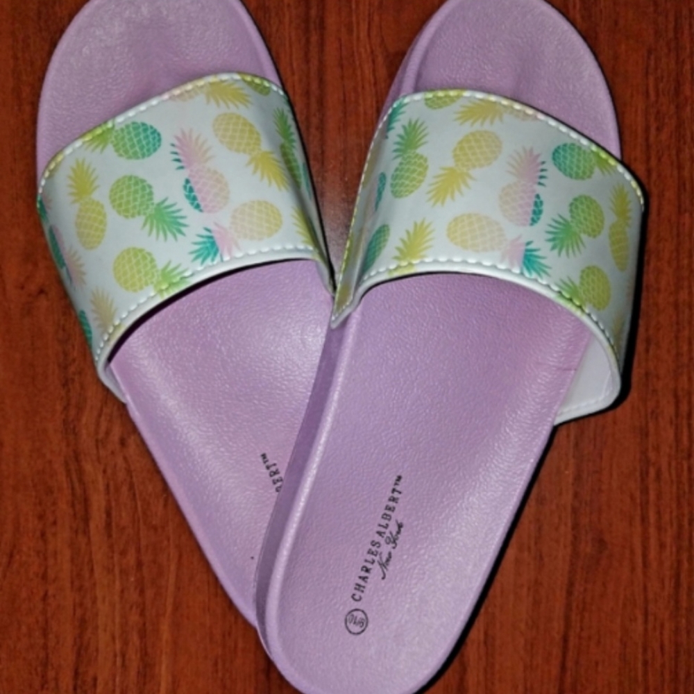 NWOT! Charles Albert Slide Sandals Size 9/10